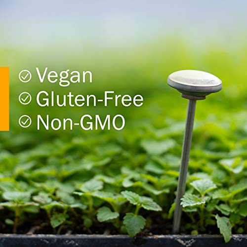 Herb Pharm Certified Organic Lemon Balm Liquid Extract for Calming Nervous System Support, Alcohol-Free Glycerite, 1 Oz