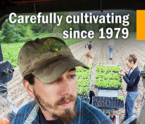 Herb Pharm Certified Organic Super Echinacea Liquid Extract for Active Immune System Support - 1 Ounce (DSUPER01)