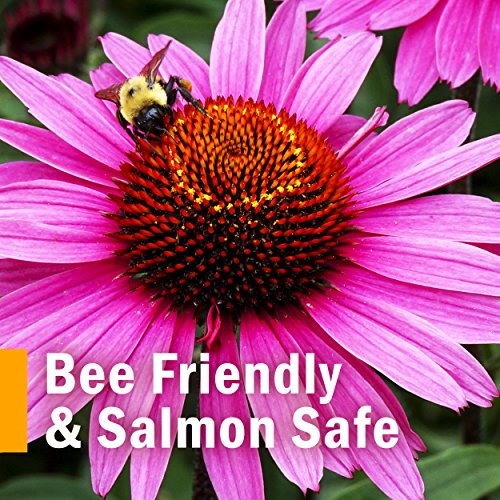 Herb Pharm Certified Organic Super Echinacea Liquid Extract for Active Immune System Support - 1 Ounce (DSUPER01)