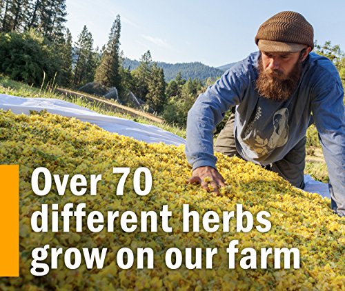 Herb Pharm Certified Organic Super Echinacea Liquid Extract for Active Immune System Support - 1 Ounce (DSUPER01)