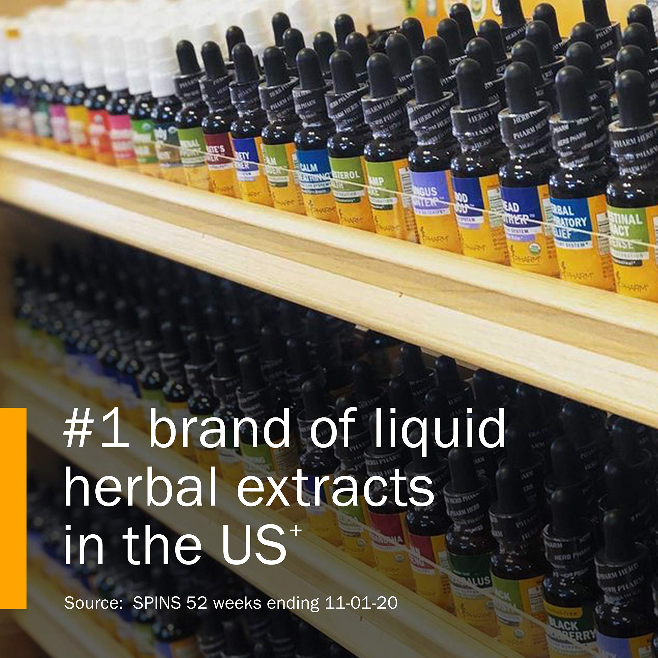 Herb Pharm Certified Organic Super Echinacea Liquid Extract for Active Immune System Support - 1 Ounce (DSUPER01)