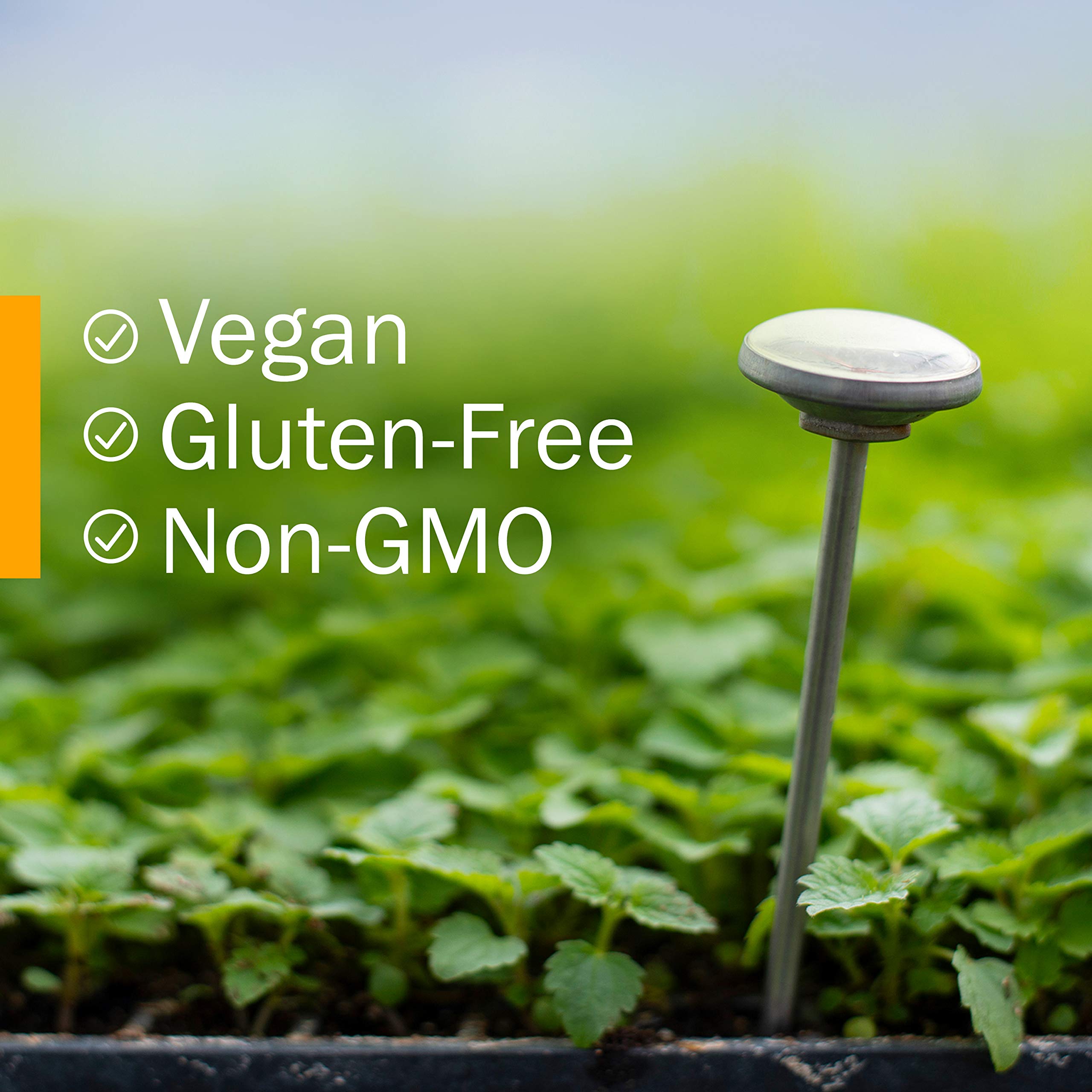 Herb Pharm Certified Organic Super Echinacea Liquid Extract for Active Immune System Support - 1 Ounce (DSUPER01)