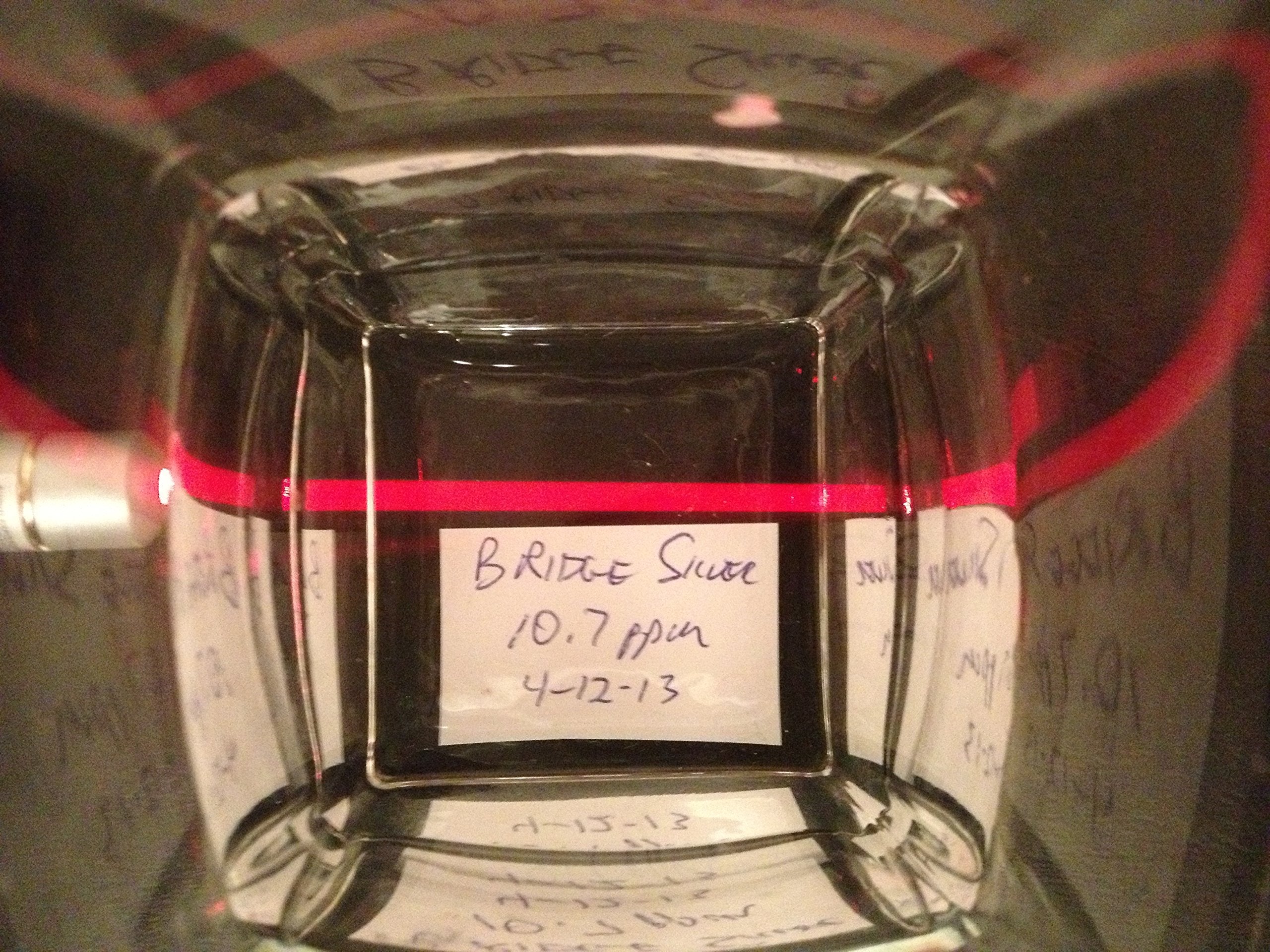 Blue Ridge Silver - 10 ppm 16 oz Colloidal Silver Natural Immune Support Health Supplement