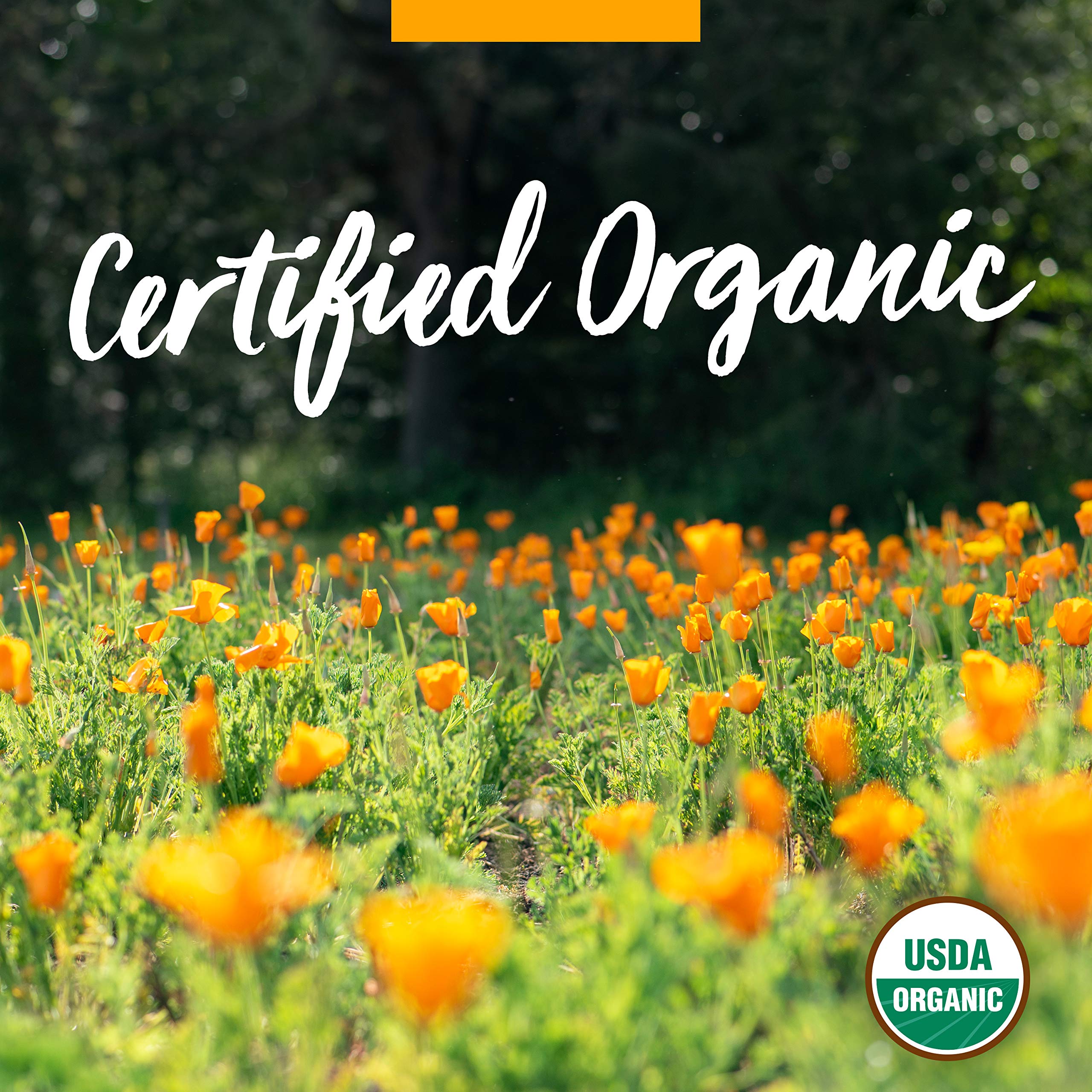 Herb Pharm Certified Organic Super Echinacea Liquid Extract for Active Immune System Support - 1 Ounce (DSUPER01)