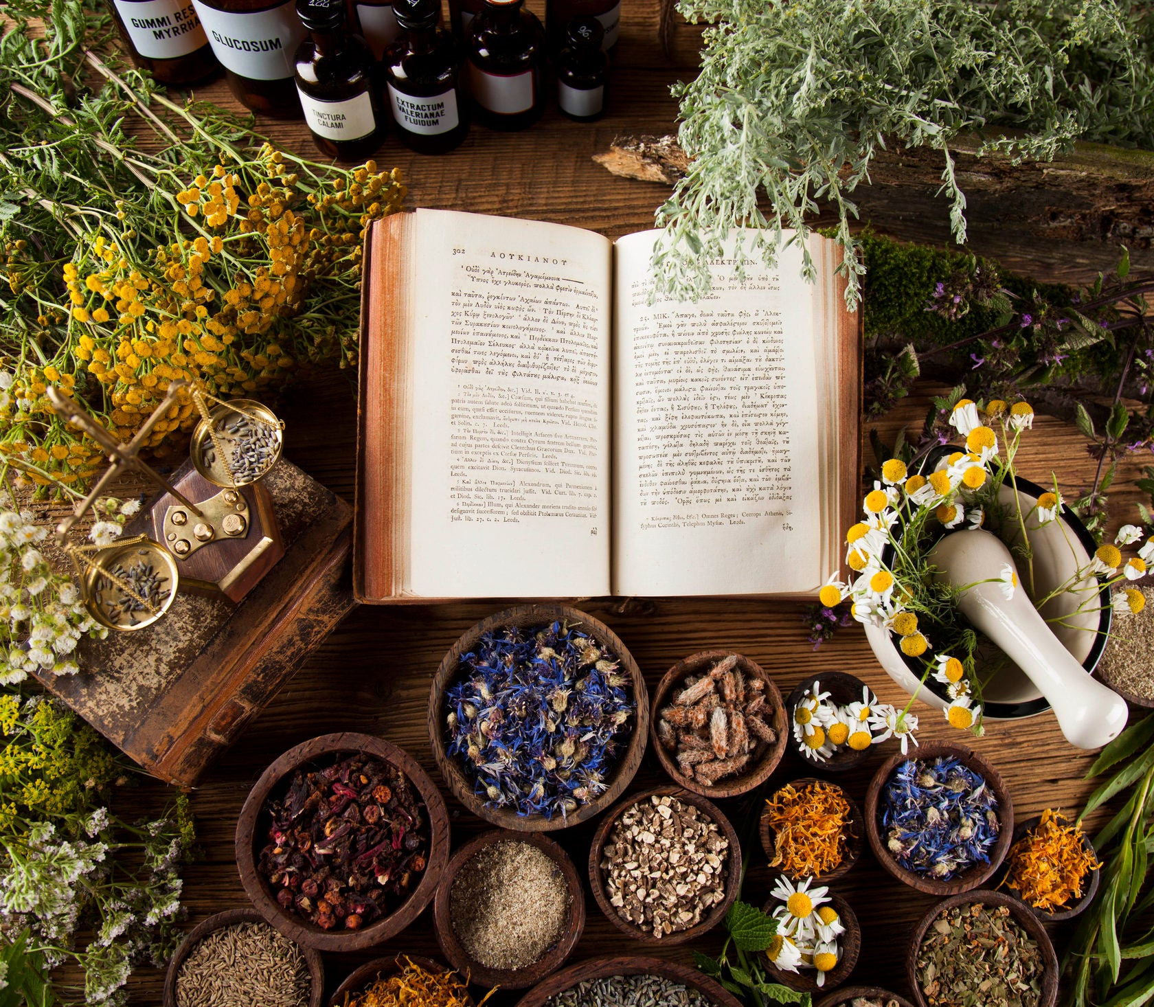 THE NATURAL HELP