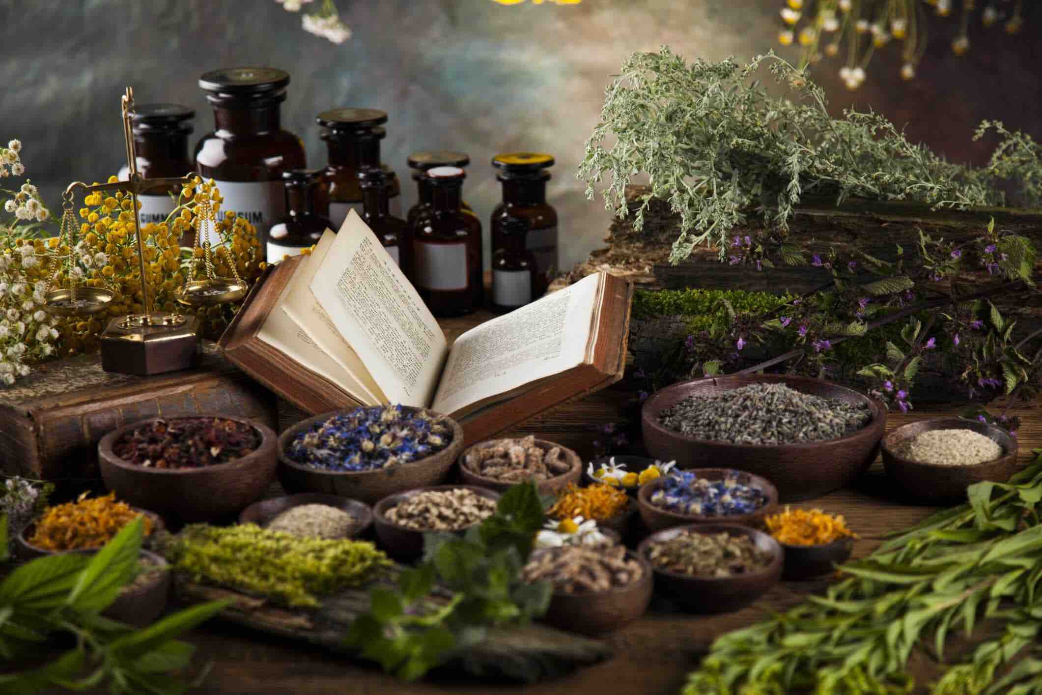 THE NATURAL HELP